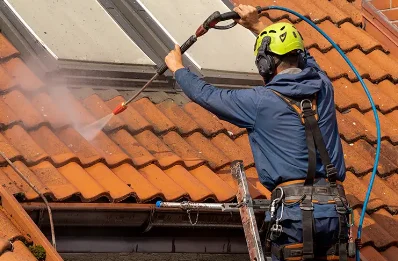 Démoussage et hydrofuge de toiture à la Romagne